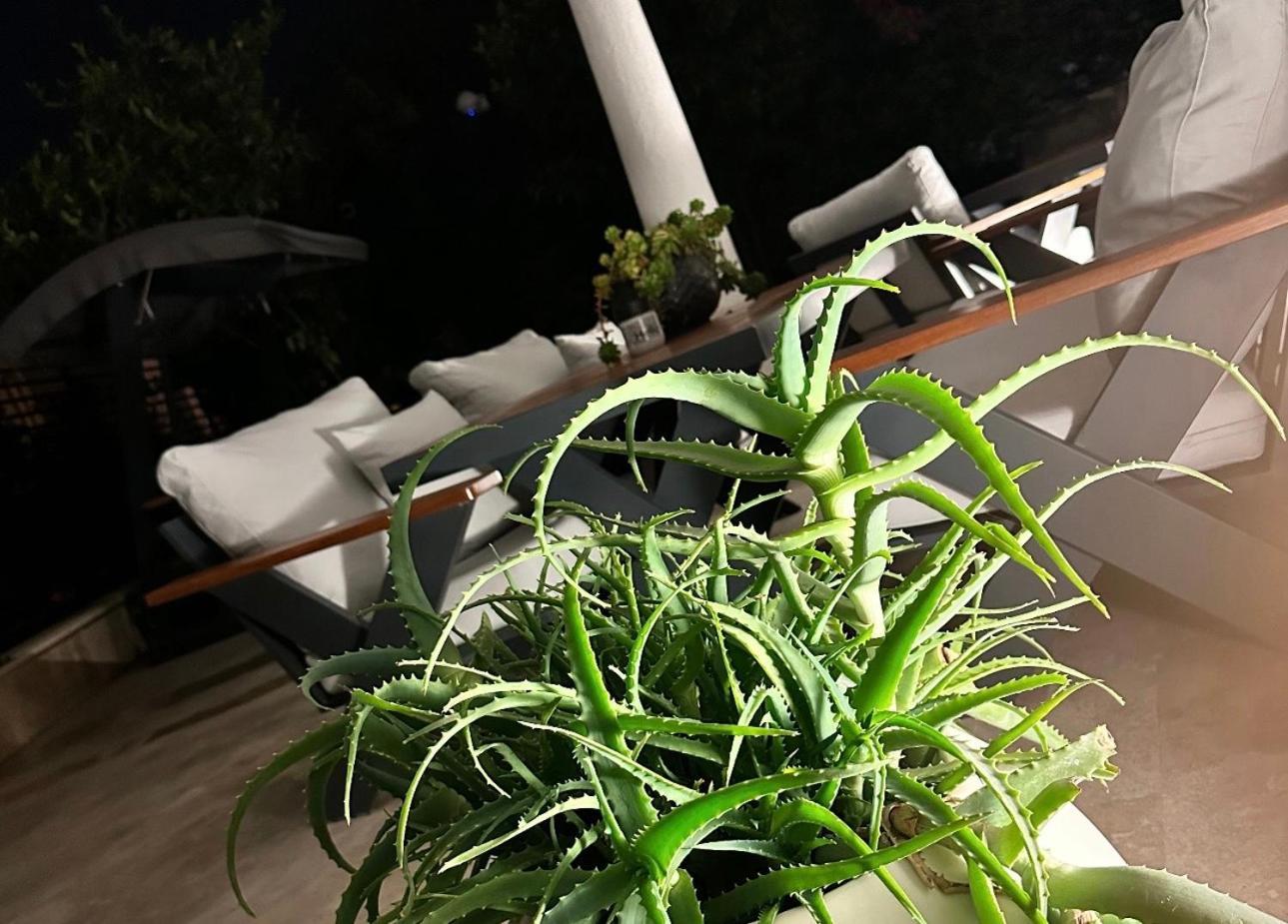 Appart hôtel Noa Only Adult 5*
